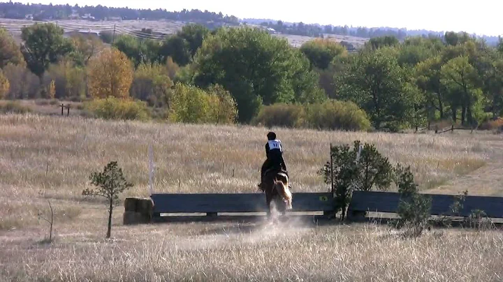 Lisa Bauman at CHP Fall 09