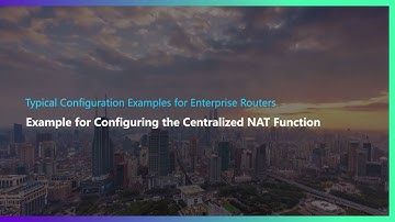 Example for Configuring Centralized NAT Function