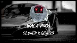wala amri get#slowedandreverb #arabicsong #newsong @Alieditz99