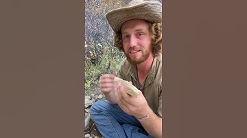 How to carve a spoon using FIRE #bushcraft #survival #howto #primitive #outdoors #camping