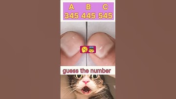guess the number 🤔#shorts #cat #ytshorts #music #quiz #viral