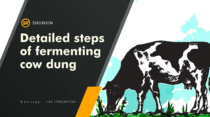 Detailed steps of fermenting cow dung