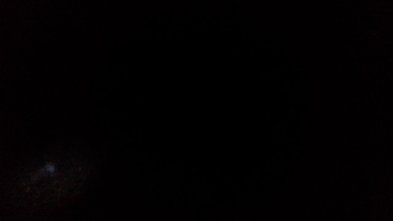 Catapult hunting a pheasant 2016 YouTube