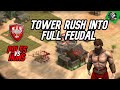 Poles Tower/Villager rush into full feudal action!