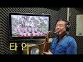 타인 이미자