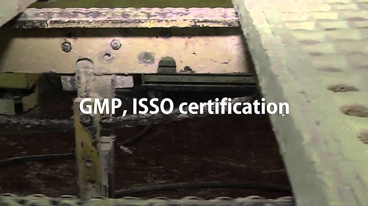 How it's Made ? - Mr Gummy Vitamins