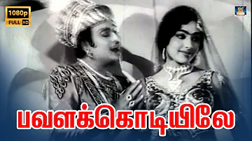 Pavalakodiyile  Video Song HD | பவளக்கொடியிலே Song | Panam Padaithavan | M.G.R |K.R.Vijay |TMS.