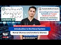 Lecture 28 Renal Stones/Ureteric & Vesicles Stones: Chapter 02 Renal System Disease - Dispensing-I