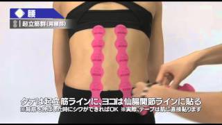 ★Suw★ Cobraxion Tape : Back3／腰
