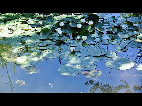 JOHN SOKOLOFF - VALLEYS HD