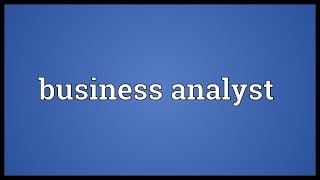 Business Analyst Meaning