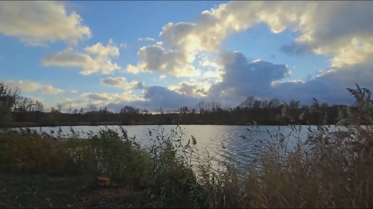 Spaziergang um den Hohnsensee - pure Natur & Entspannung || Germany || Cuộc sống ở Đức