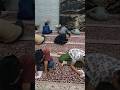Peserta Sangat Antusias Saat Ujian Pengajian Fikih Sunnah #fiqih #ujian #pengajian #ngaji #islam