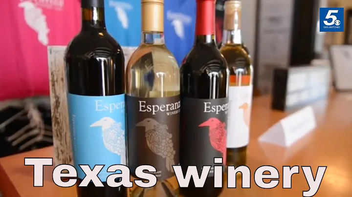 Texas winery owner turned her wine-tasting hobby into a thriving business