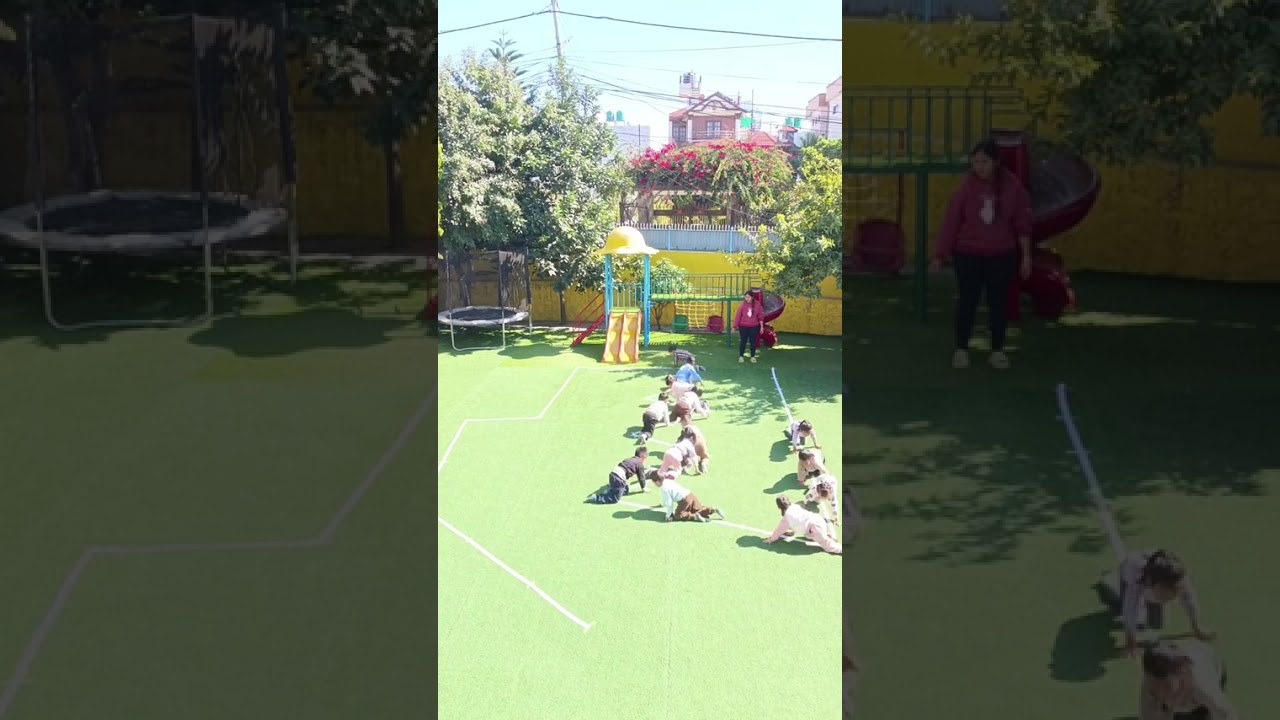 physical development in early childhood 