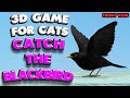3D game for cats | CATCH THE BLACKBIRD (front view) | 4K, 60 fps, stereo sound