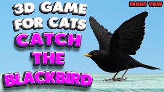 Cat TV | Catch the Blackbird (front view) | 10 Hours | 4K, 60 fps screenshot 3