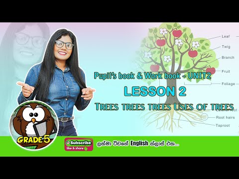 Trees Trees Trees L Uses Of Trees L Grade 5 English L Unit 2 Lesson 2 L Pupil S Book And Work Book 