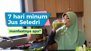 Minum Jus Seledri 7 Hari?| Miss Bella Hasky