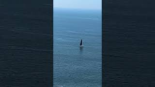 sailing vessel "BASIC INSTINCT" 1/22/26