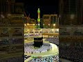 Sarkar ka nokar hon koi am nhi ho#trending#love#