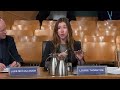 Constitution, Europe, External Affairs and Culture Committee - 22 January 2026