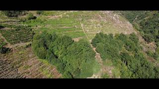 Porto Dos Lobos, Galicia 2021