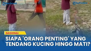 Download Lagu Pria di Blora Tega Tendang Kucing hingga Mati, Pemilik Beber Sosok 'Orang Penting' Sebagai Pelaku MP3