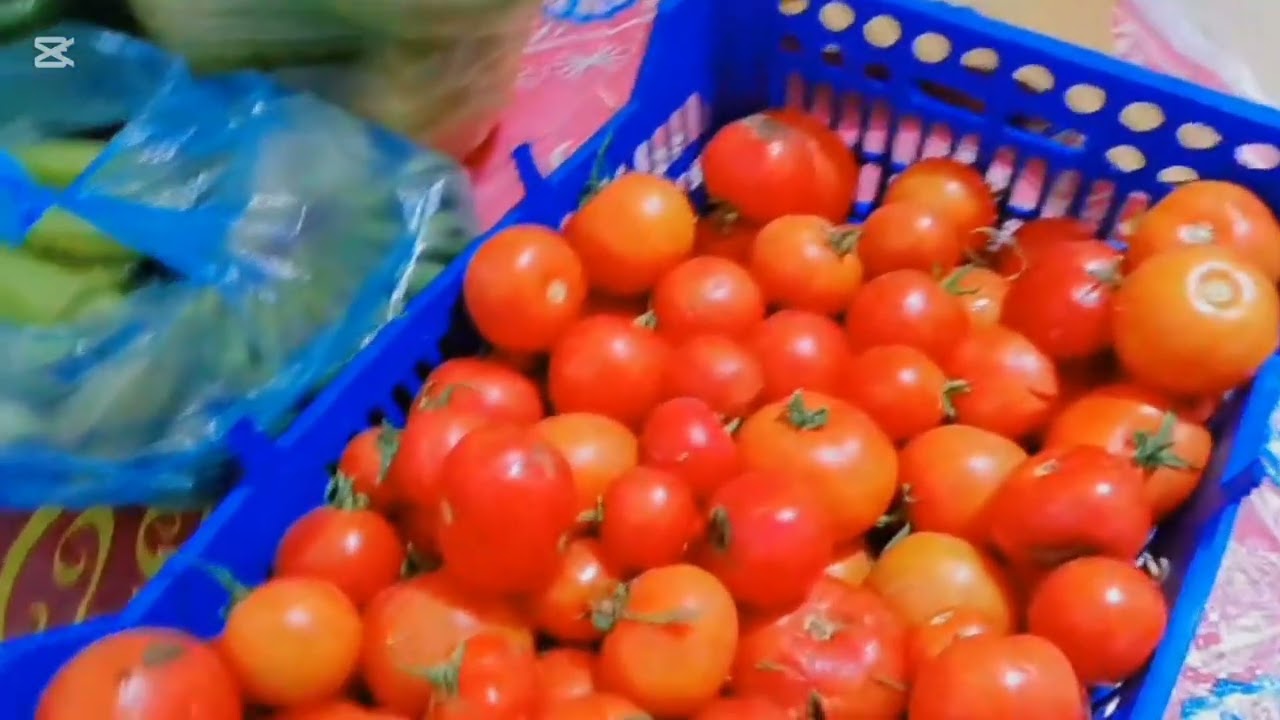 هلو حبايبي روتين يومي بسيط لفينه سمبوسه ودولمه عراقيه 😋 ومسوك ان شاءلله يعجبكم الفديو ☺️