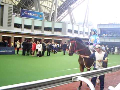 22/03 沙田賽事第一場新馬賽行沙圈