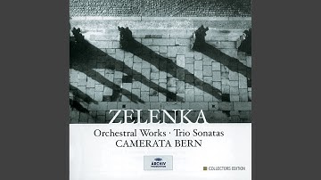 Zelenka: Sonata No. 6 in C minor - 4. (Allegro)