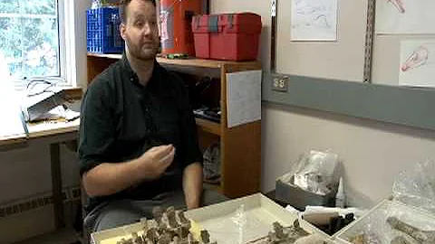 Marshall University: Dr. Robin O'Keefe