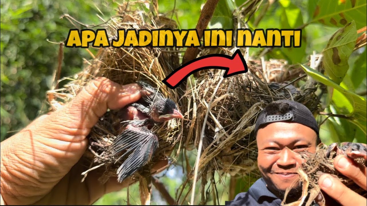 Kita Tukar posisi, kira-kira nanti jadinya bagaimana ya???  😅🙏🏻🙏🏻🙏🏻