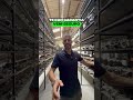 ¿Dónde comprar REPUESTOS originales y legales? 🛠️⚙️ Mi secreto