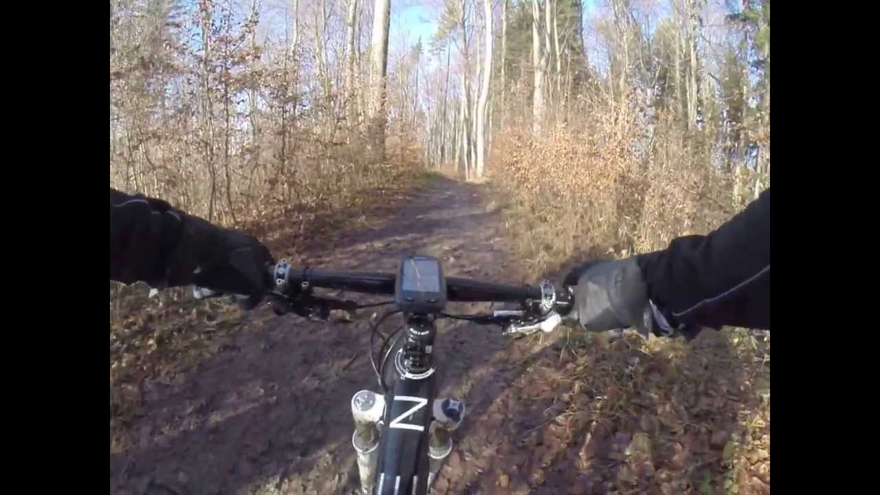 Altberg Wurzelweg DH