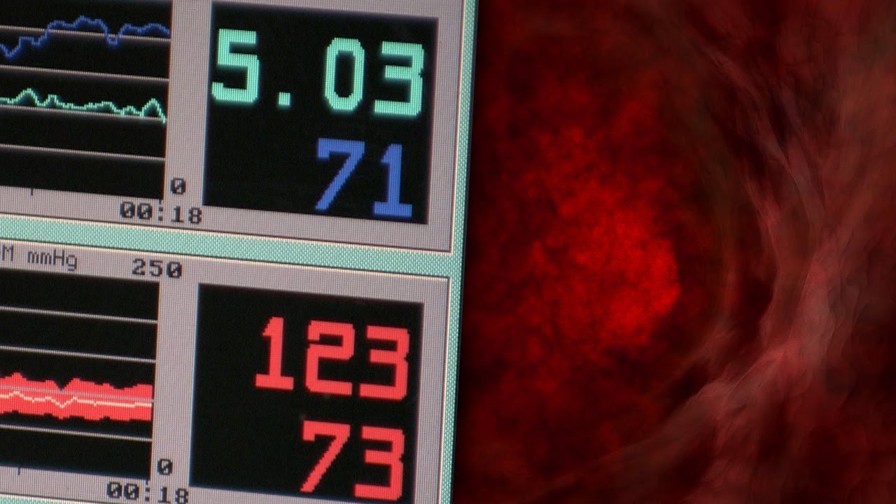 Are Emotions Bad for Your Heart? | Earth Lab - YouTube