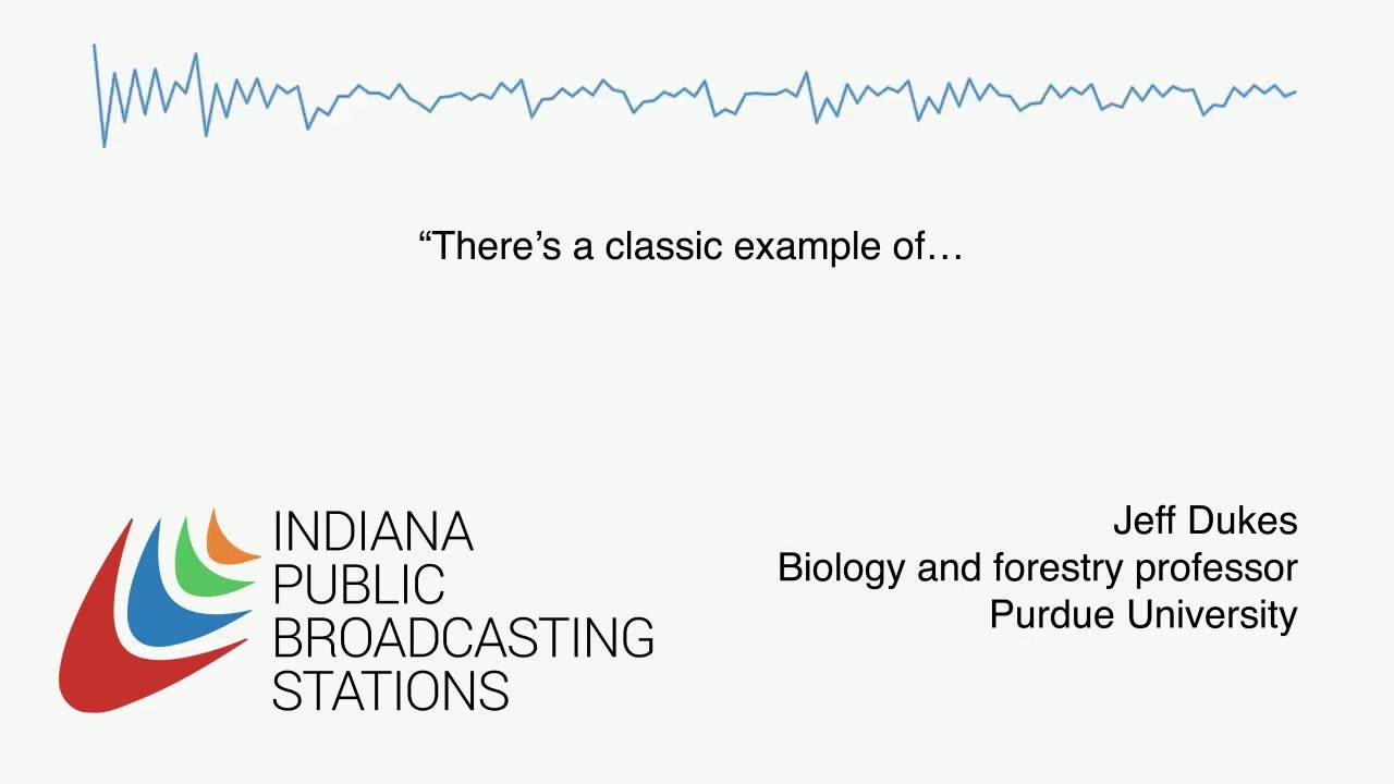 Purdue's Jeff Dukes explains the impact of invasive species