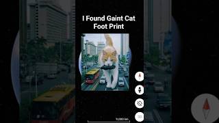 🧐I Found Gaint Cat Foot Print on google map🗺️#shorts #trending #map #scary #ee4u #earth #googleearth
