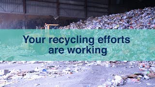 Earth Day at the Recycling Center