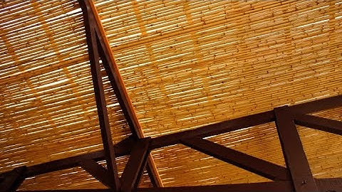 The lowdown on buildings and their environmental impact