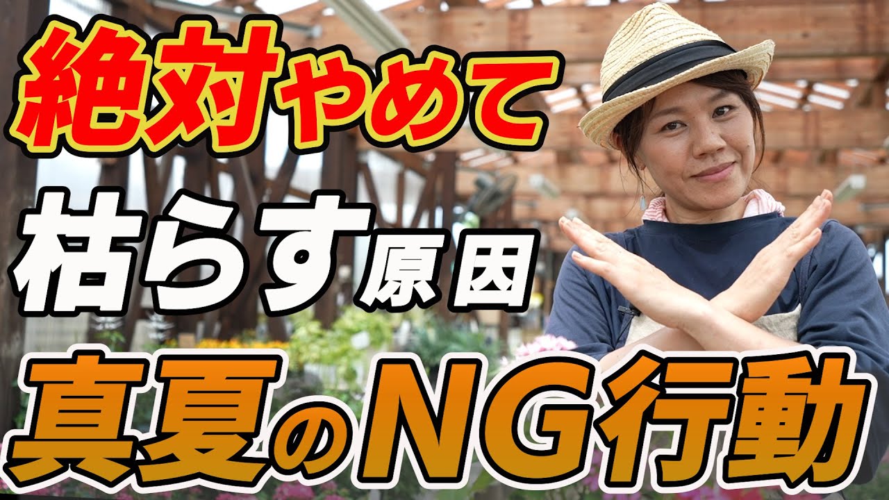 知らないと枯らす】真夏に絶対やってはいけないNG行動！弱ったお花の