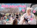 Chaotic Hanami in Tokyo 🌸 (20 people!!!)