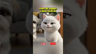 El perrito abandona el canal😢😱 #shorts #dog #cat #kitten #cartoon #shortsviral