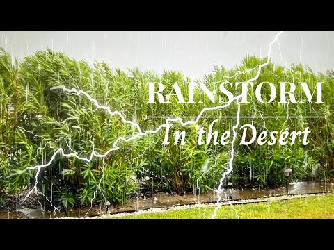 🧘Desert Rainstorm Sounds for sleeping & Study