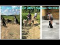 A week in the life of a dog trainer vlog  1