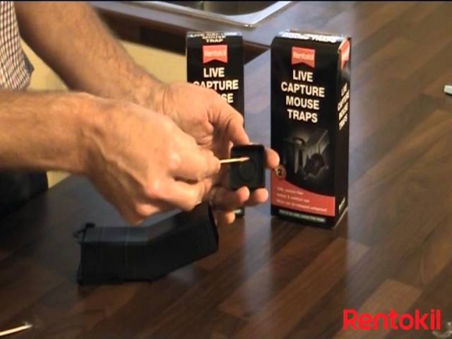 Rentokil - Live Capture Mouse Traps (Twin Pack)