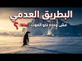 لماذا مشى البطريق نحو الجبال وحده قصة البطريق العدمي Nihilist Penguin 2026 