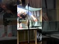 How I made this shot