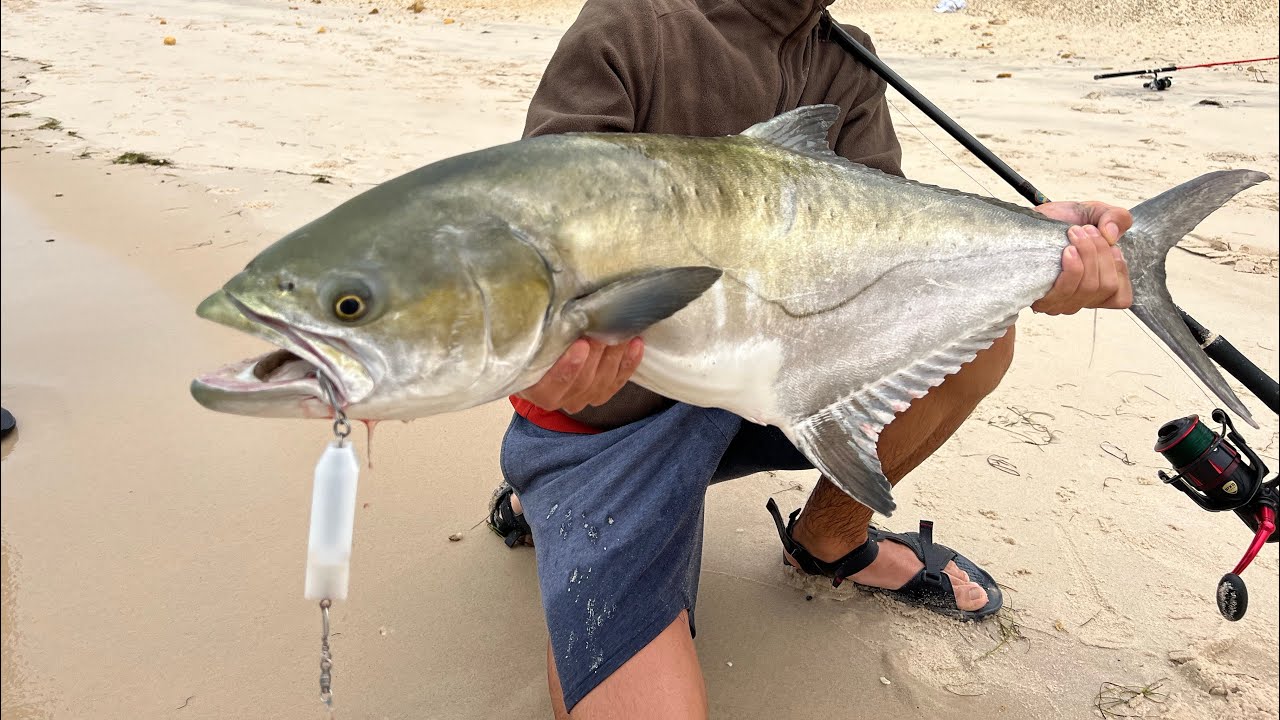 We found the Leerfish 😍🎣 - YouTube