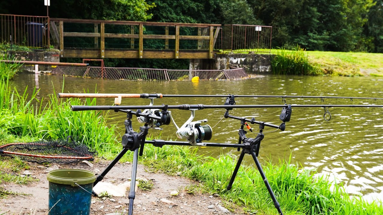 Lov kaprů v září. Technika pro úspěch na malém revíru a host ve videu!